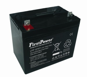 Rechargeable High Temperature Battery (LFP1270T)